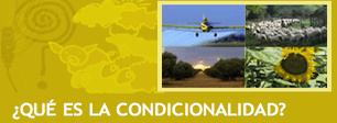 Condicionalidad