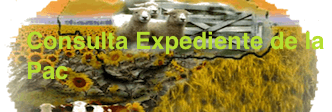Expedientes PAC
