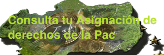 Asignación de derechos