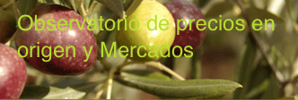 aceitunas y hojas